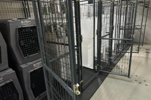 Dog boarding Vero Beach facility inside