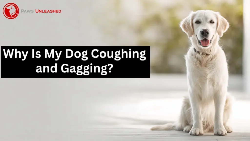 why is my dog coughing and gagging