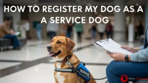 How to Register My Dog as a Service Dog:Step-by-Step Guide