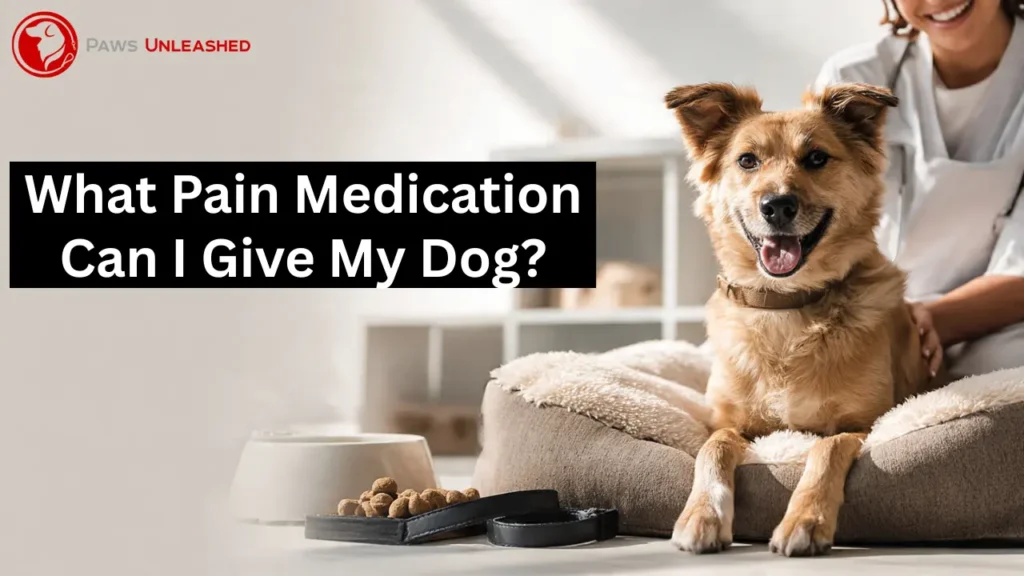 what pain medication can i give my dog