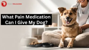 What Pain Medication Can I Give My Dog? Vet-Approved Tips