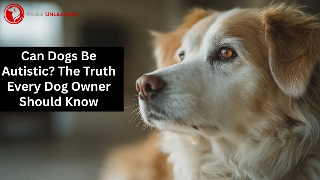 can dogs be autistic