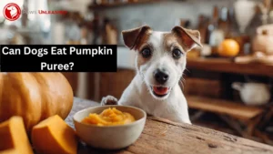 Can Dogs Eat Pumpkin Puree? Safe, Healthy & Powerful Tips
