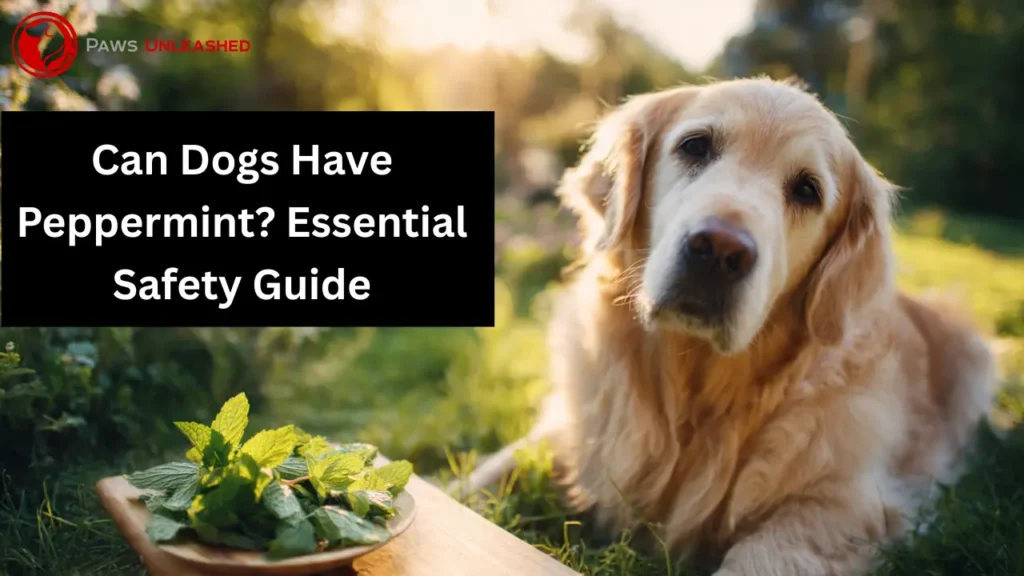 can dogs have peppermint