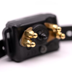 CPAD-006 Long Point Barkless Comfort Pad