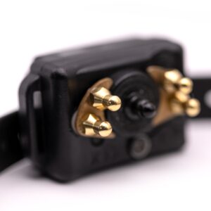 CPAD-005 Short Point Barkless Comfort Pad