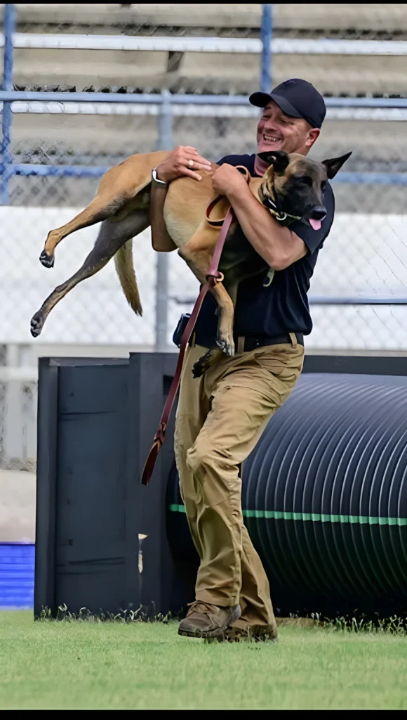 dog training in florida