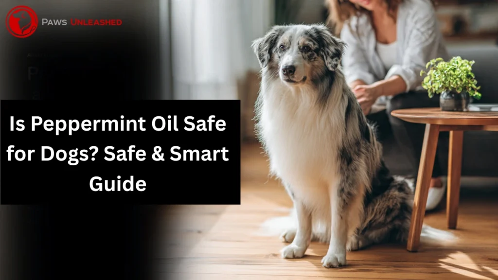 is peppermint oil safe for dogs