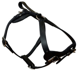 PADDED LEATHER QUICK RELEASE HARNESS- (LIST ALL 3 SIZES M- L- XL)