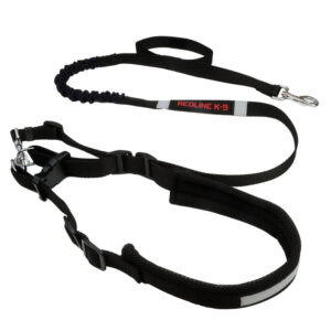 HANDS FREE JOGGING BUNGEE LEASH