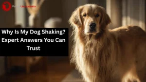 Why Is My Dog Shaking? Expert Answers You Can Trust