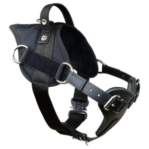 YURKIW HARNESS WITH COBRA BUCKLE- METAL COBRA BUCKLE
- (LIST ALL 3 SIZES S-M-L)