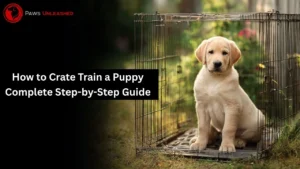 How to Crate Train a Puppy Complete Step-by-Step Guide