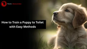 How to Train a Puppy to Toilet with Easy Methods