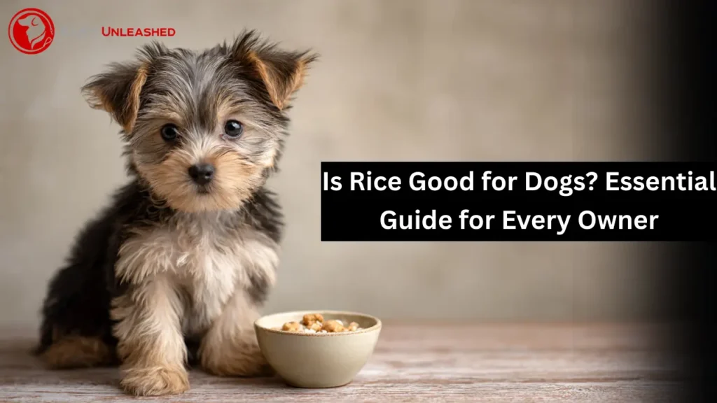 is rice good for dogs