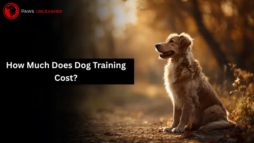 how much does dog training cost, how much does dog training cost in florida