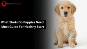 What Shots Do Puppies Need: Must Guide for Healthy Start