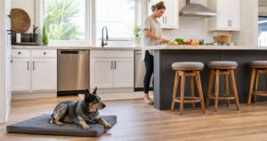 How to Stop a Dog From Counter Surfing
